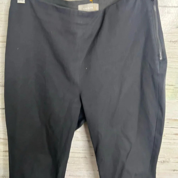 Everlane Straight Curvy Fit Short black Pants Size 6 - Picture 3 of 9